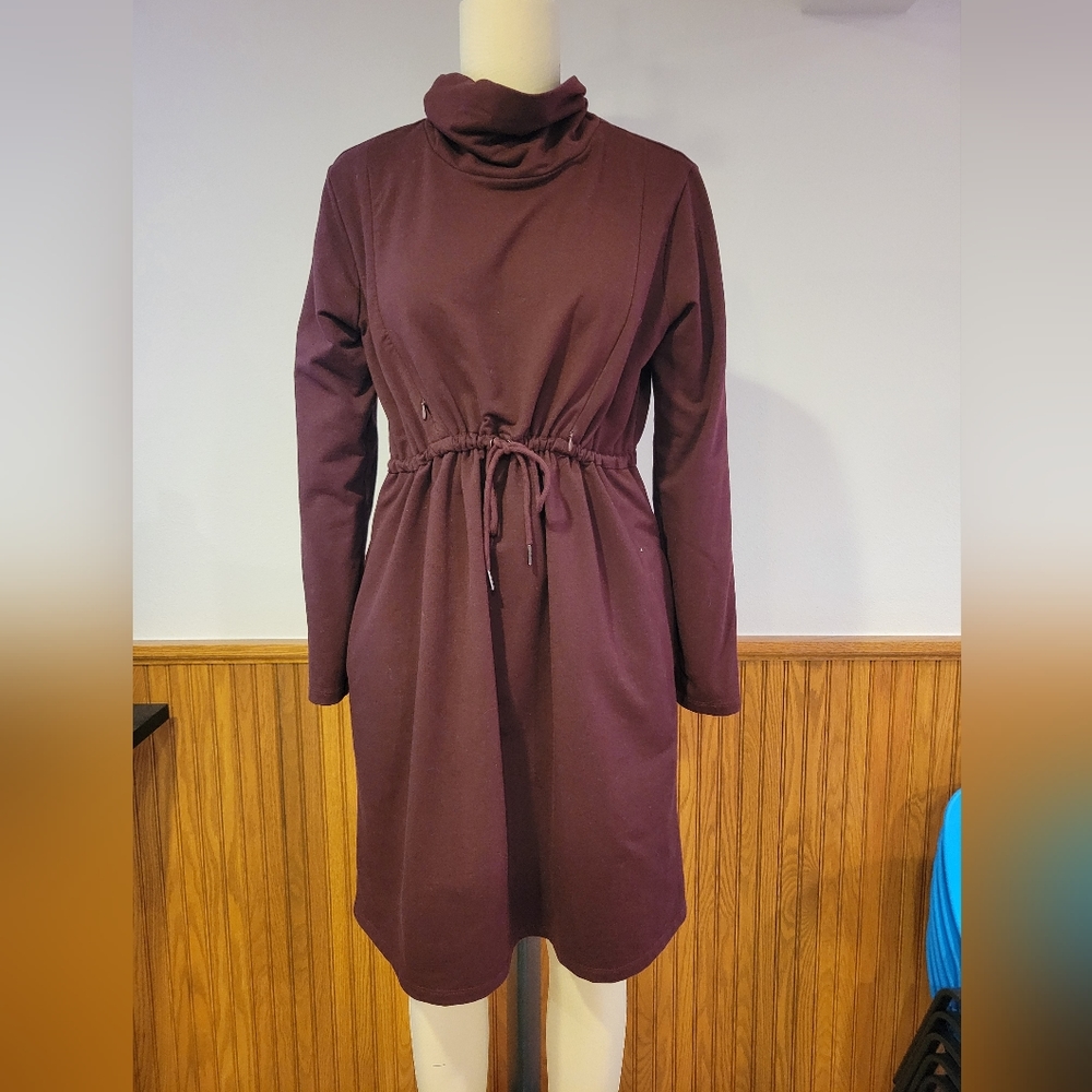 Seraphine Maternity and Nursing Dress